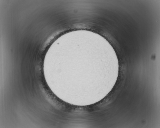X0000115620064200912221237