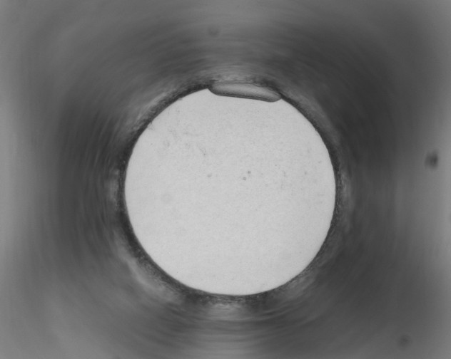 X0000115620066200912221237