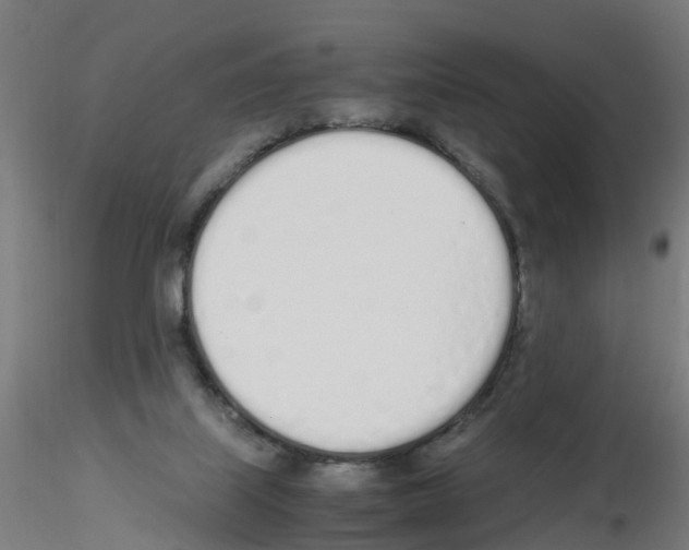 X0000115620067200912221237