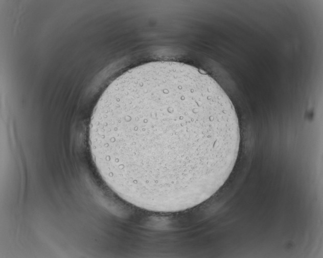 X0000115620071200912221237