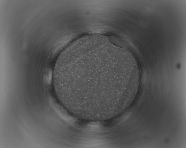 X0000115620076200912221237