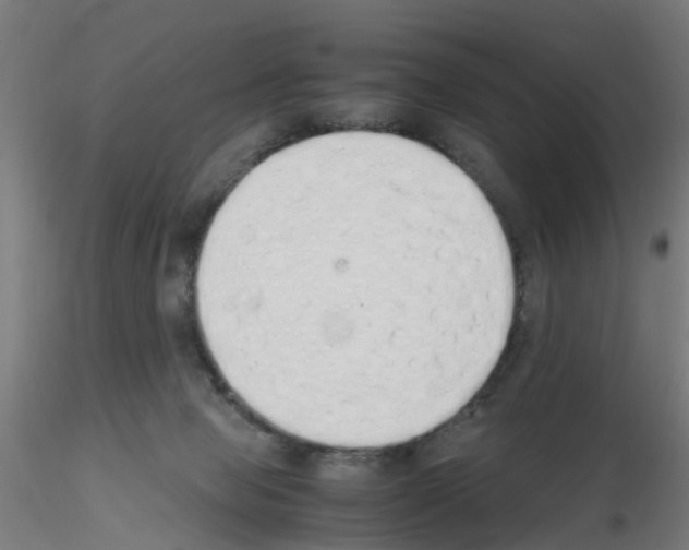 X0000115620077200912221237