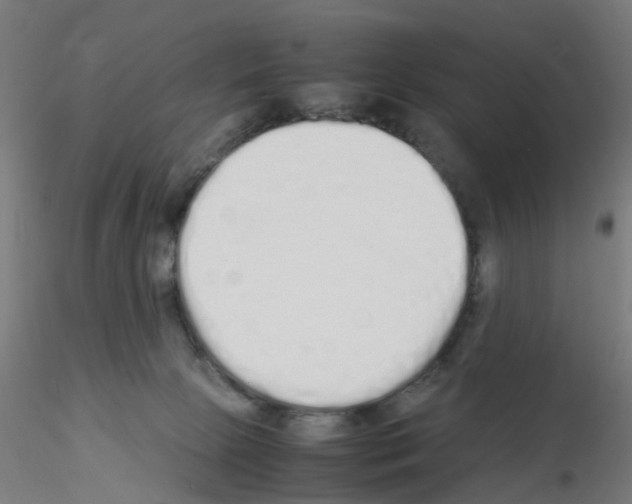 X0000115620081200912221237