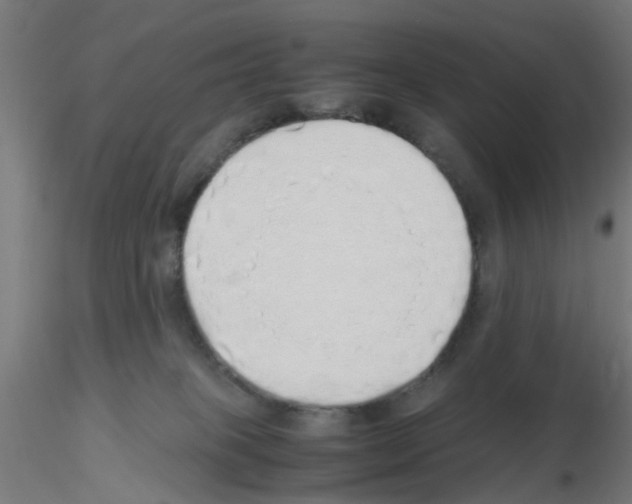 X0000115620085200912221237