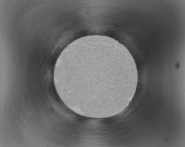 X0000115620086200912221237