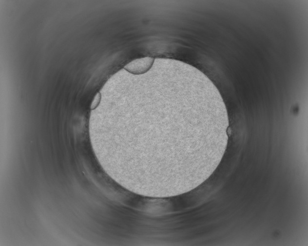 X0000115620087200912221237