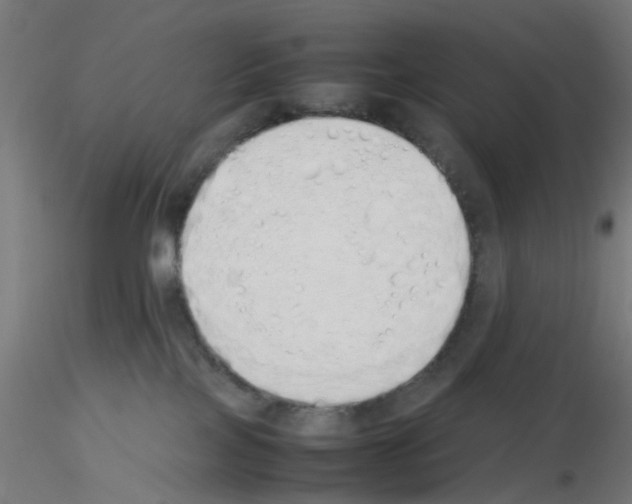 X0000115620089200912221237