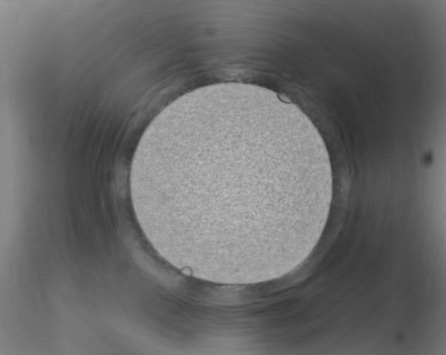 X0000115620090200912221237