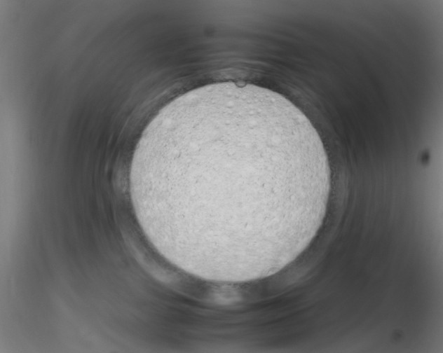 X0000115620091200912221237
