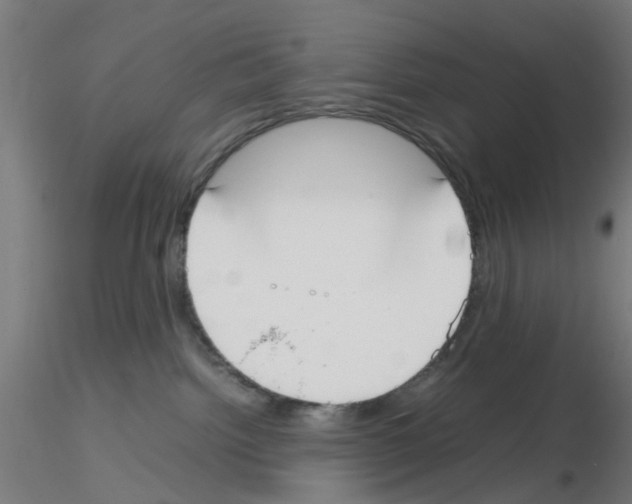 X0000115620092200912221237