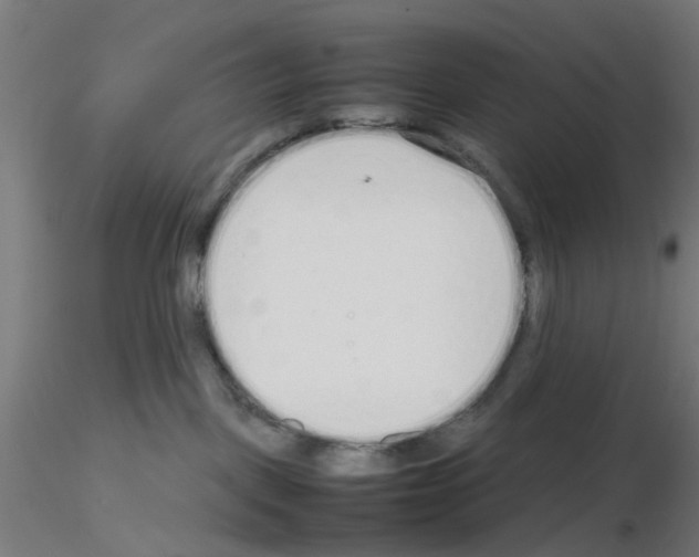 X0000115620093200912221237