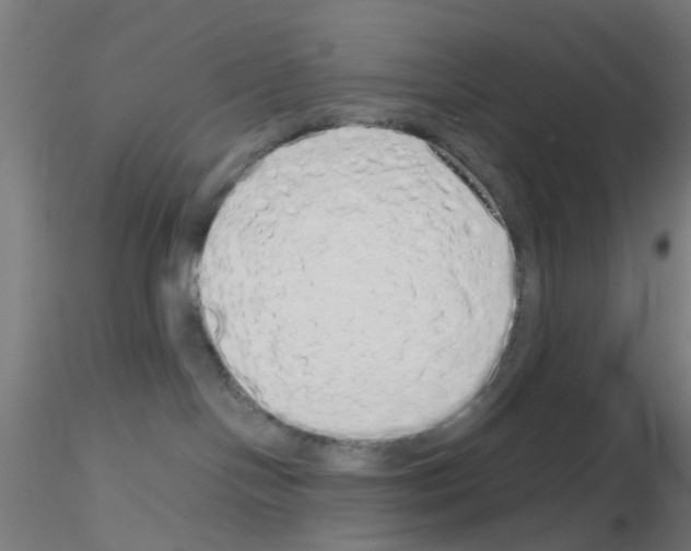X0000115620094200912221237