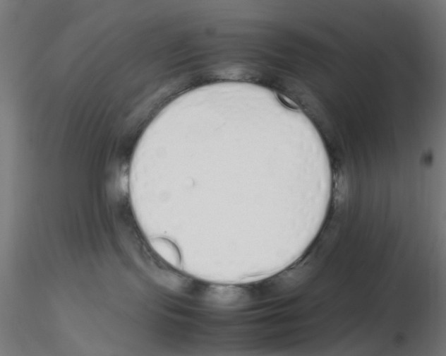 X0000115620095200912221237