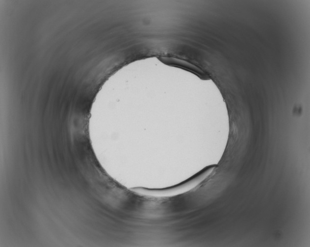 X0000115620096200912221237