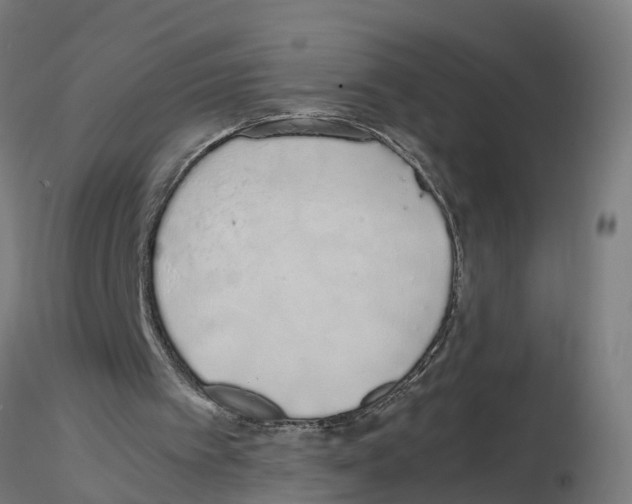 X0000115620097200912221236