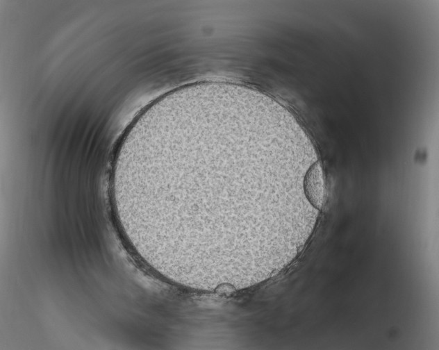 X0000115620098200912221236