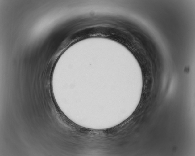 X0000115620099200912221236