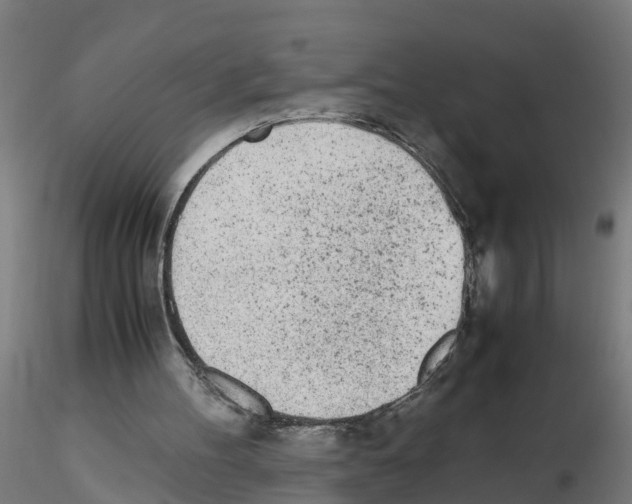 X0000115620100200912221236