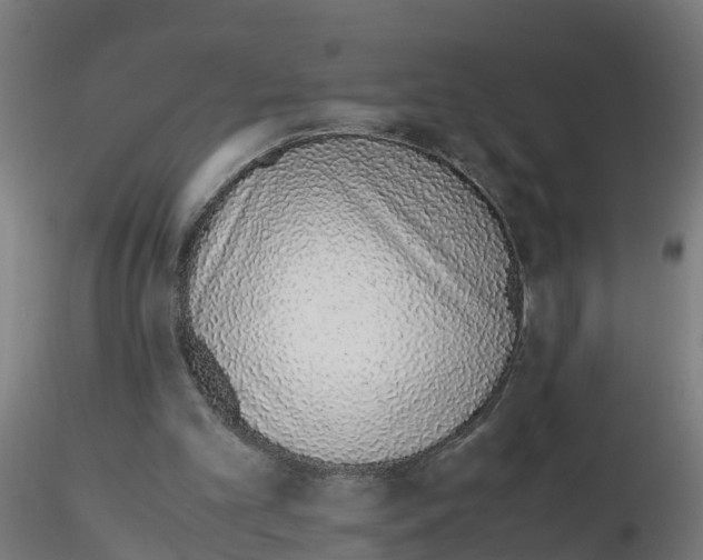 X0000115620101200912221236
