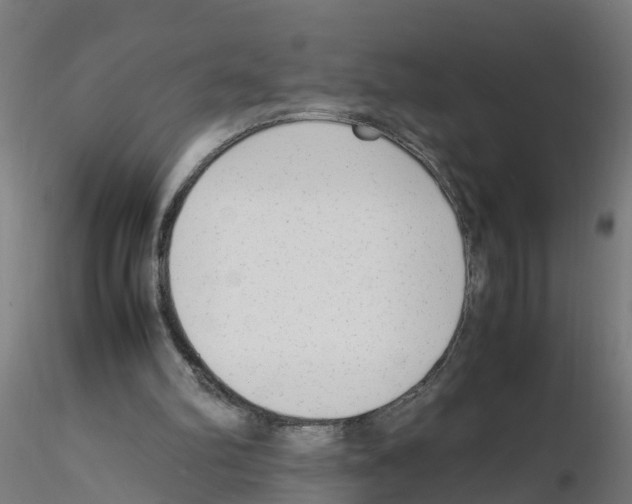 X0000115620102200912221236