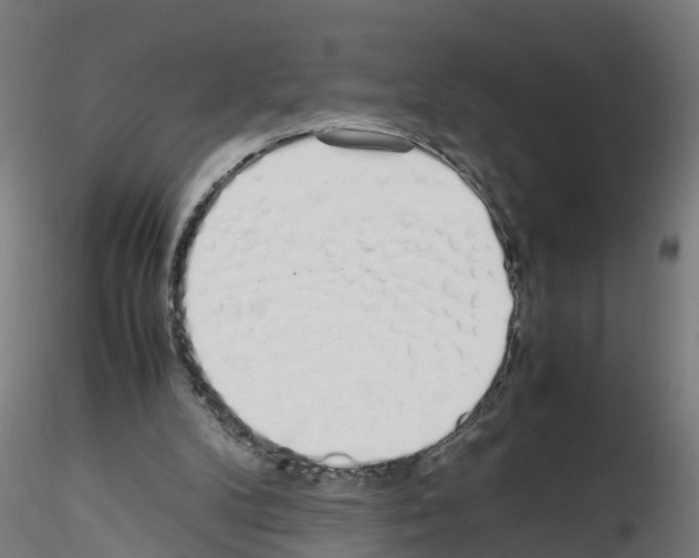 X0000115620104200912221236
