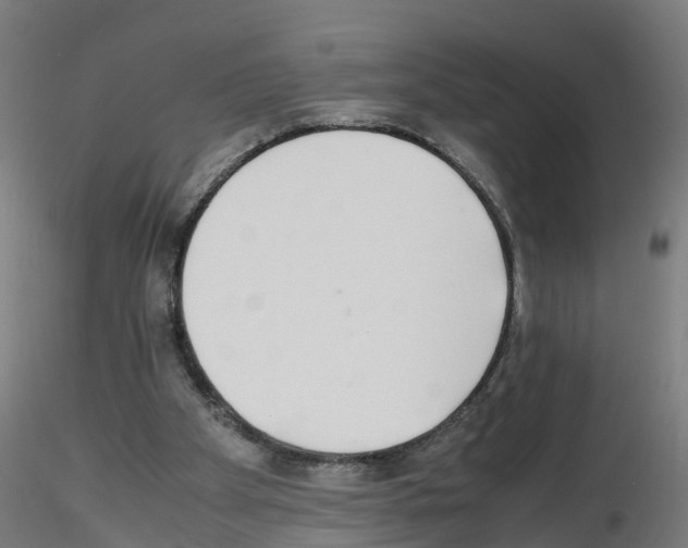 X0000115620105200912221236