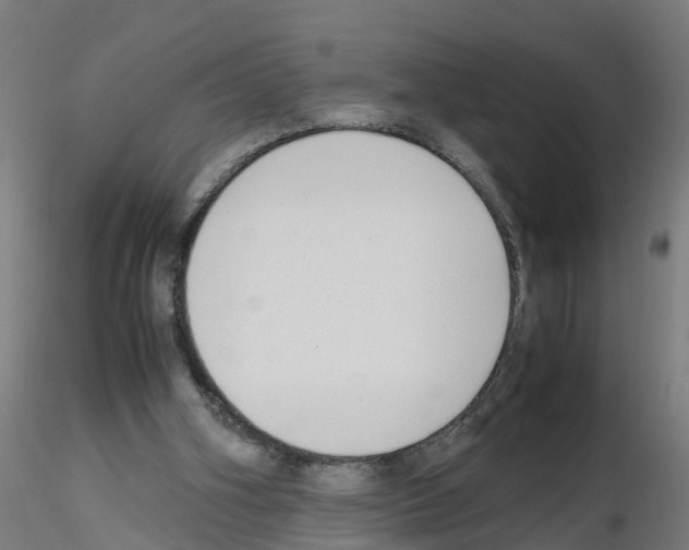 X0000115620106200912221236