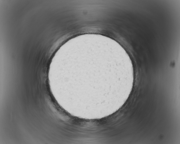 X0000115620107200912221236