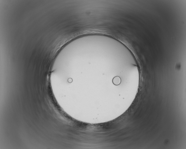 X0000115620109200912221236