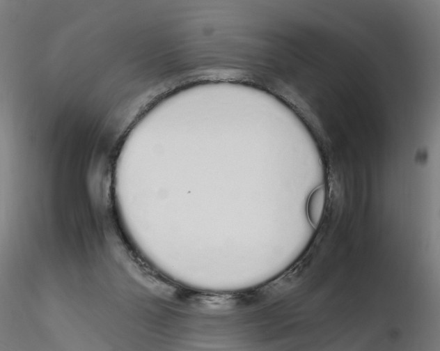 X0000115620110200912221236