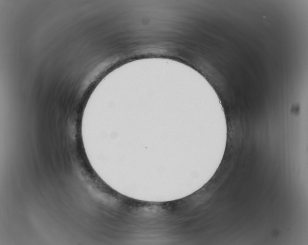 X0000115620112200912221236