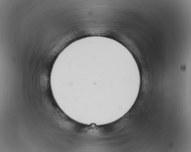 X0000115620113200912221236