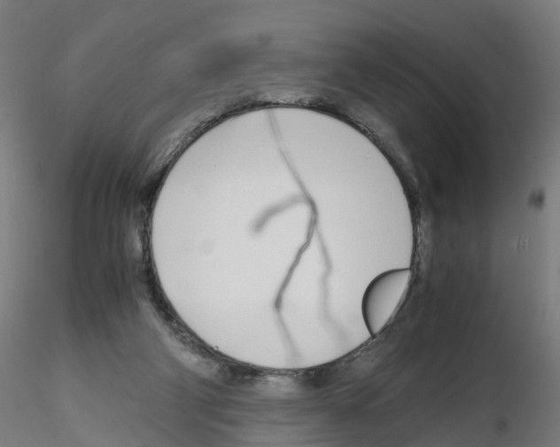 X0000115620114200912221236