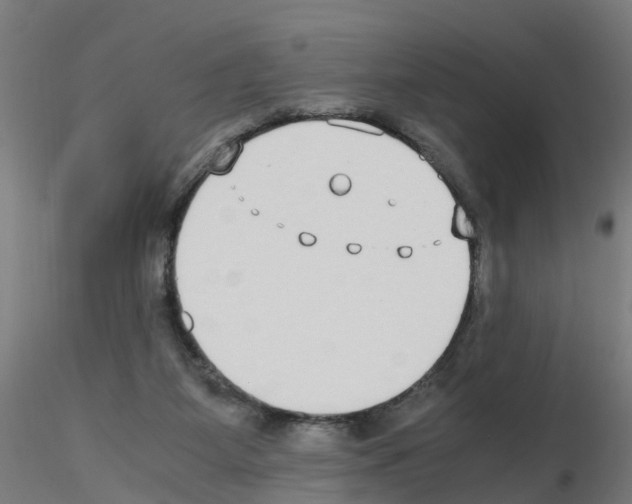 X0000115620115200912221236