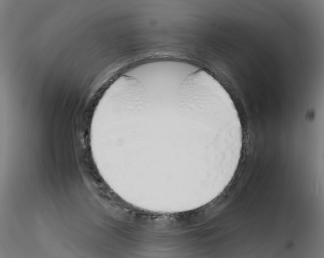 X0000115620116200912221236