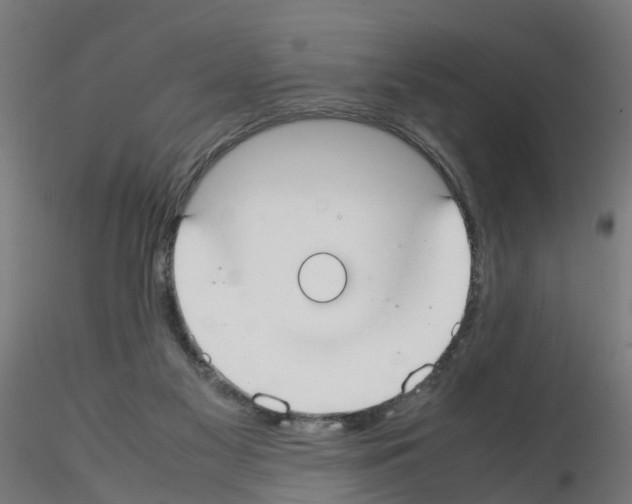 X0000115620117200912221236