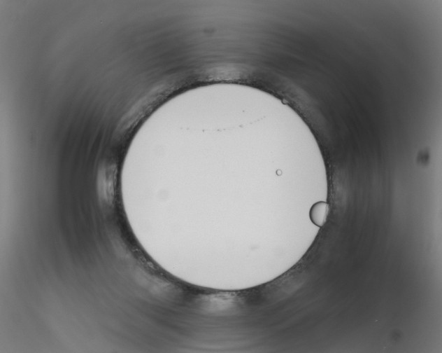 X0000115620118200912221236