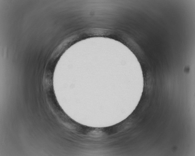 X0000115620119200912221236