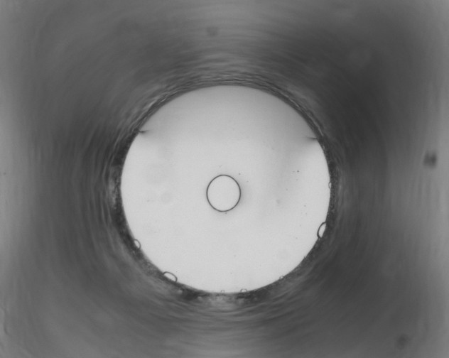 X0000115620121200912221236