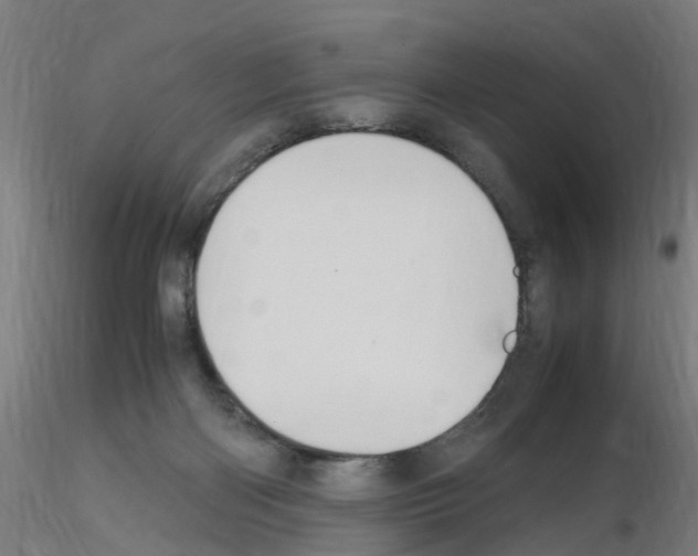 X0000115620122200912221236