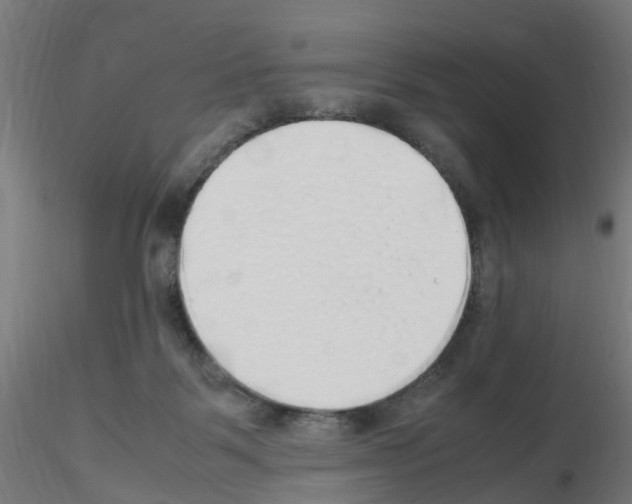 X0000115620123200912221236