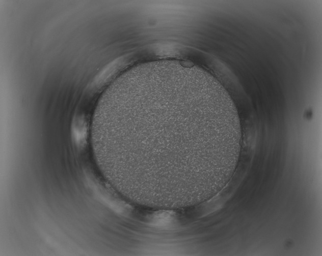 X0000115620124200912221236