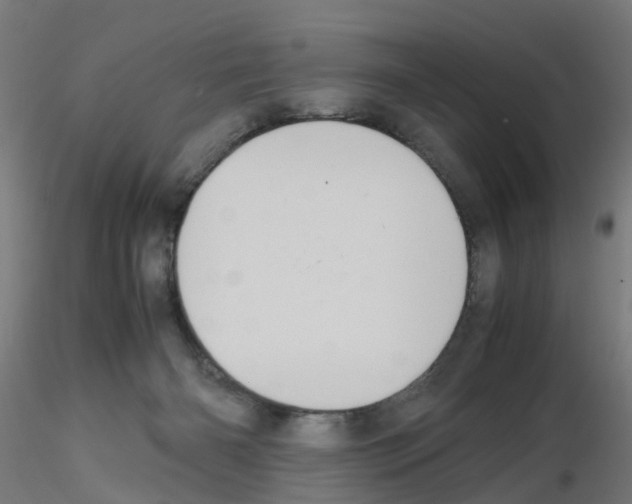 X0000115620126200912221236