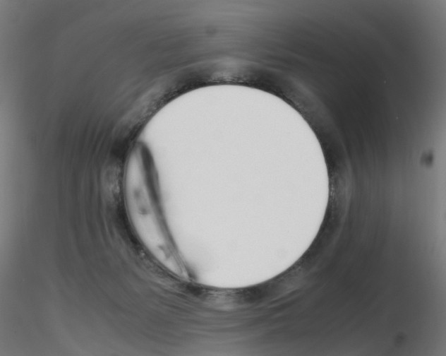 X0000115620127200912221236