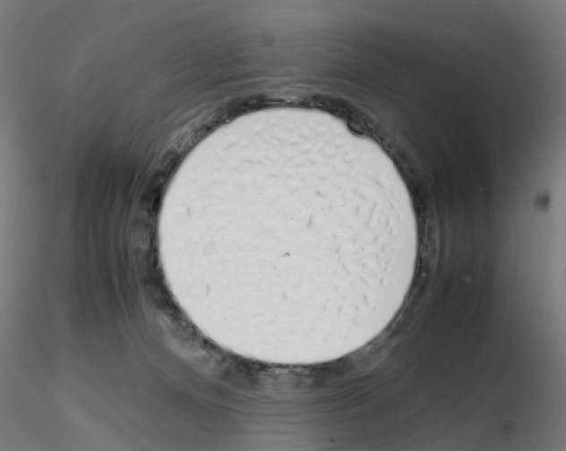 X0000115620128200912221236