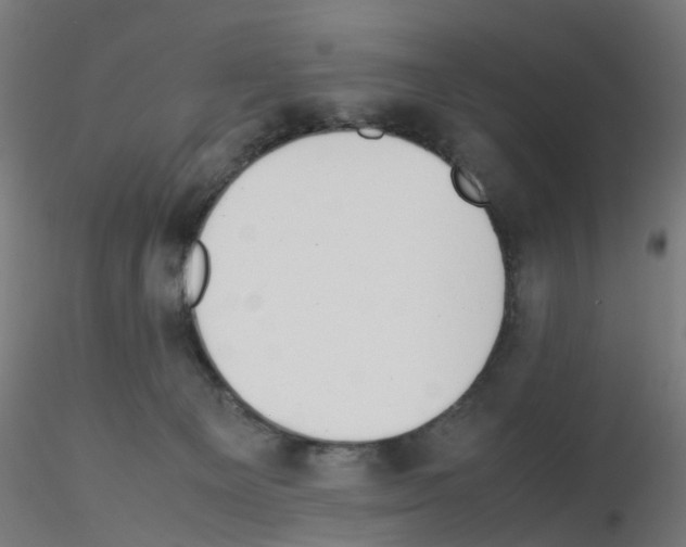 X0000115620129200912221236