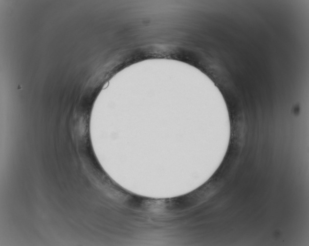 X0000115620131200912221236