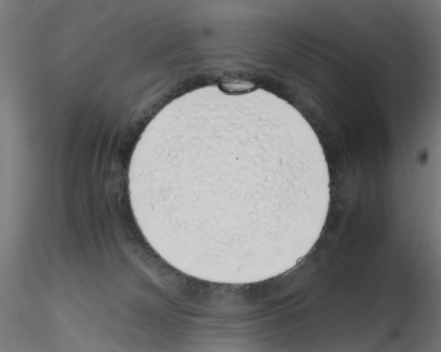 X0000115620132200912221236
