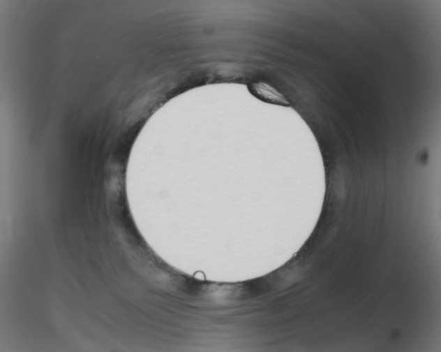 X0000115620135200912221236
