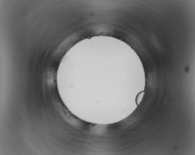 X0000115620138200912221236